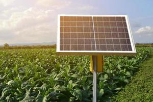 panel fotovoltaico, nueva tecnología para almacenar y utilizar la energía de la naturaleza con la vida humana, la energía sostenible y el concepto de amigo del medio ambiente. foto