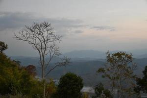 Dry trees against a mountain backdrop in the morning of the day. photo