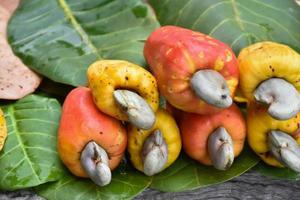 Asian ripe cashew apple fruits hanging on branches ready to be harvested by farmers. Soft and selective focus. photo