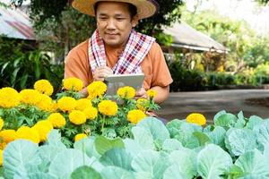 Asian middle aged man is relaxing with his free time by using his taplet to take photos and to store the growing data beside the vegetable beds in the backyard of his house. Soft and selective focus.