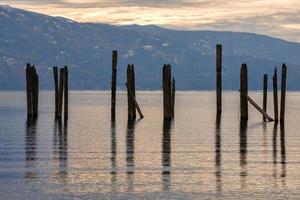 Wooden poles in the lake. photo