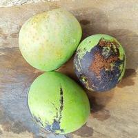 foto de tres mangos