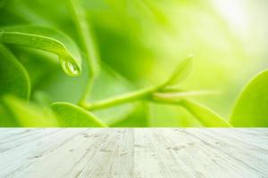 Fresh green leaves nature with bokeh on empty wooden table background