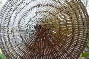 Bamboo fish trap photo