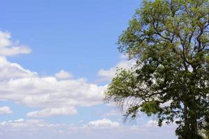 Blue cloudy sky. photo