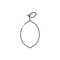 Outline icon of lime. Lime icon. Fresh, fruit, and whole. Fruit cartoon icon. vector