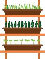 Illustration of Seedling Wooden Rack vector