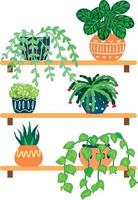 Vector Illustration of Shelves with Houseplants in Flower Pots