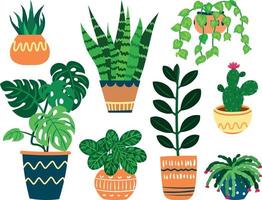 Set of Various Potted Plants in Decorative Flower Pots