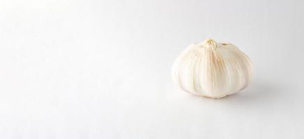 Close up garlic on white background providing copy space photo