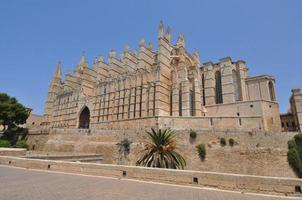 St Mary cathedral in Palma De Mallorca photo