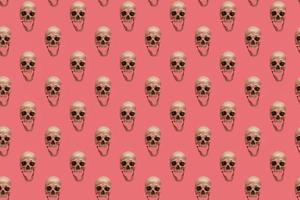 Skull with jaw on a pink seamless pattern. photo