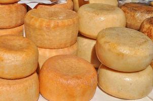 Traditional handmade cheese photo