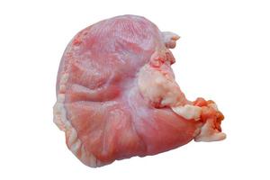 The pork stomach. pig's organs on white background with clipping path. photo