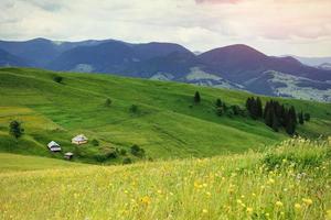 beautiful cozy sunny summer day and the mountains. Carpathians photo