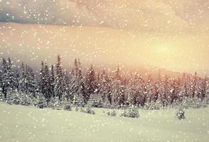 magical winter landscape, background with some soft highlights a photo