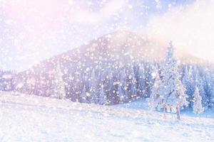 winter landscape trees snowbound, bokeh background with snowflak