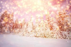 winter landscape trees snowbound, bokeh background with snowflak photo