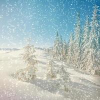 magical winter landscape, background with some soft highlights a photo