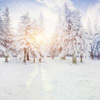 paisaje invernal árboles nevados, fondo bokeh con copo de nieve foto