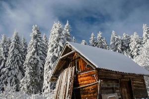 paisaje invernal con nieve en las montañas cárpatos, ucrania. foto