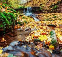 cascada en otoño. hermosos días dorados. cárpatos ucrania europa foto