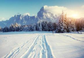 road mysterious winter landscape majestic mountains photo