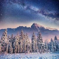 star trek lácteos en el bosque de invierno. cárpatos, ucrania, europ foto