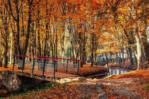 Puente a pie sobre el río con árboles coloridos en otoño foto