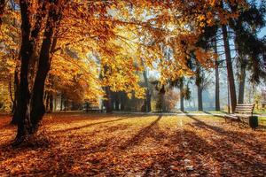 Warm peaceful day in the autumn park photo