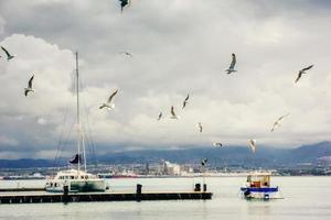 Fantásticas vistas del puerto deportivo con barcos y gaviotas dando vueltas. foto