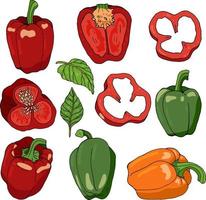 Set with bell peppers on white background. Bell peppers, bell pepper slices and leaves isolated on white. Red, green and yellow sweet peppers on white vector