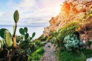 Sea and Cape Milazzo. Beauty world. Italy. photo