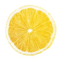 slice of lemon isolated on white background photo