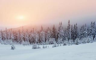 fog in winter mountains. Fantastic sunset. photo