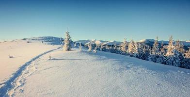 Fantastic winter landscape and trodden trails that lead into the photo