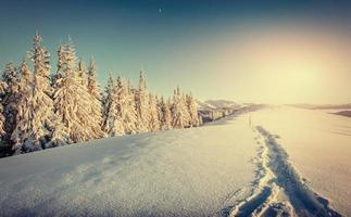 Fantastic winter landscape and trampled paths at sunset that lea photo