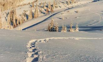 Fantastic winter landscape and trodden trails that lead into the photo