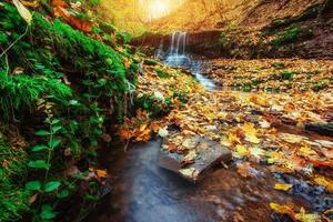 cascada en la luz del sol de otoño. mundo de la belleza montes de Cárpatos. Ucrania. Europa foto