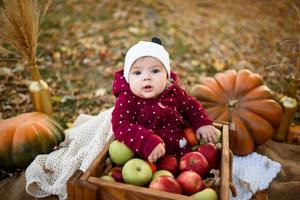 niña elige una manzana para la primera alimentación foto