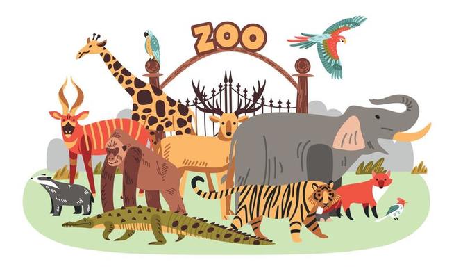Zoo Colored Composition