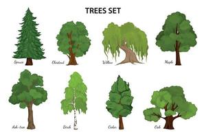 Tree Species Diagram Composition