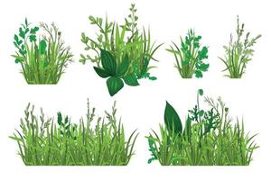 Green Grass Realistic Set vector