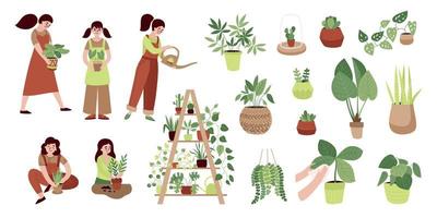 conjunto de iconos de color de plantas caseras vector