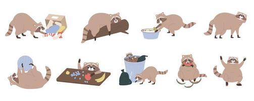 Cute Raccoon Flat Set vector