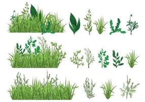 conjunto realista de hierba verde vector