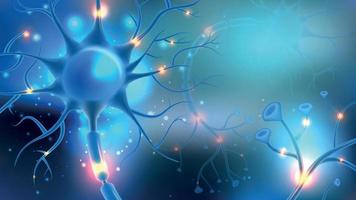 Realistic Neuron Background vector