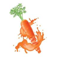composición de salpicaduras de jugo de zanahoria vector