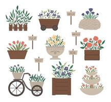 Vector illustration of different flower beds. Garden decorative flowerbeds with plants. Collection of beautiful spring and summer herbs and flowers with sign plates.