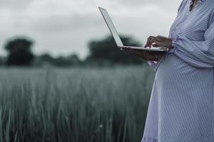 madre embarazada sostiene una laptop en la mano y toma fotos del campo de arroz para ver los productos de la granja de arroz de su familia. concepto de inspección de productos agrícolas con tecnología y aplicación